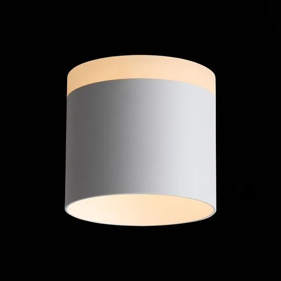 ST LUCE ST102.502.12 Светильник потолочный Белый LED 1*12W 3000K 936Lm Ra>80 120° IP20 D100xH90 170-240V, изображение 3