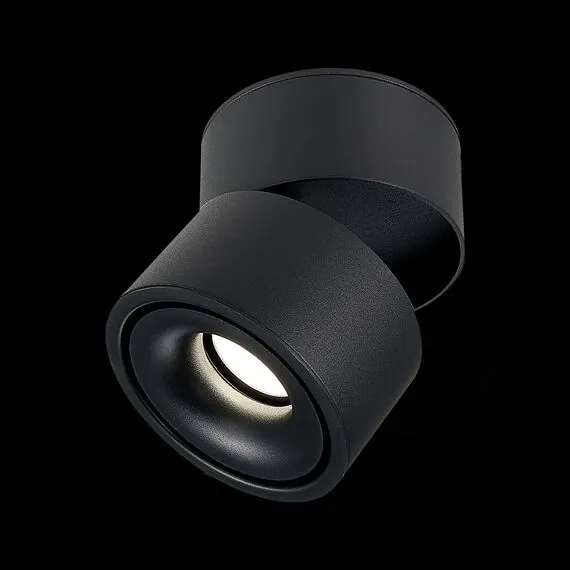 ST LUCE ST652.432.12 Светильник потолочный Черный LED 1*12W 3000K 1 000Lm Ra>90 36° IP20 D100xH105 170-240VV, изображение 5