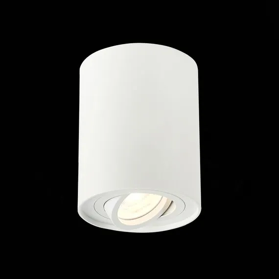 ST LUCE ST108.517.01 Светильник потолочный Белый GU10 1*50W  IP20 D98xH124 220V Без ламп, изображение 2