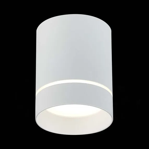 ST LUCE ST115.542.12 Светильник потолочный Белый LED 1*12W 4000K 840Lm Ra>90 120° IP20 D79xH100 170-240V, изображение 2