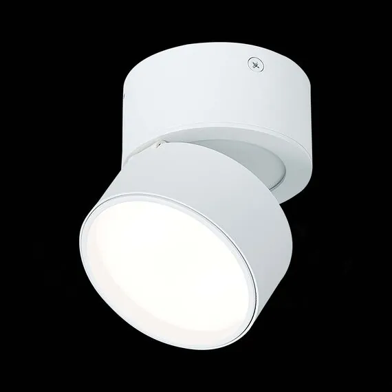 ST LUCE ST651.542.09 Светильник потолочный поворотный Белый LED 1*9W 4000K 720Lm Ra>90 120° IP20 D85xH87 170, изображение 3