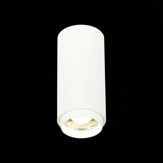 ST LUCE ST600.542.10 Светильник потолочный Zoom Белый LED 1*10W 4000K 1 000Lm Ra>80 15-60° IP20 D59xH130 170, изображение 3