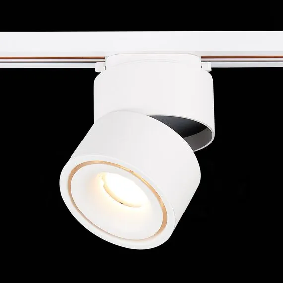 ST LUCE ST652.546.12 Светильник трековый Белый LED 1*12W 4000K 1 000Lm Ra>90 36° IP20 D100xH136 170-240VV, изображение 8