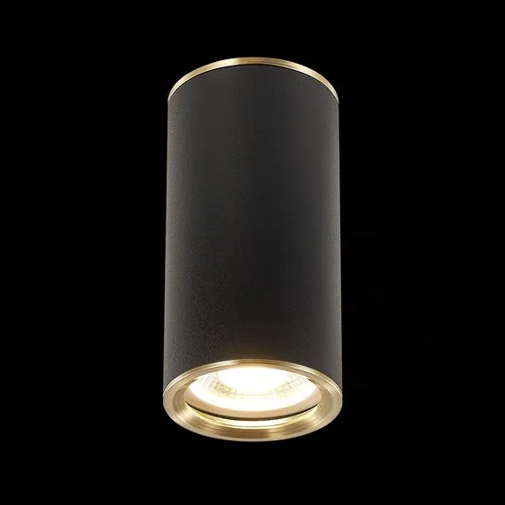 ST LUCE ST111.437.01 Светильник потолочный Черный GU10 1*50W D54xH105 220V Без ламп, изображение 2
