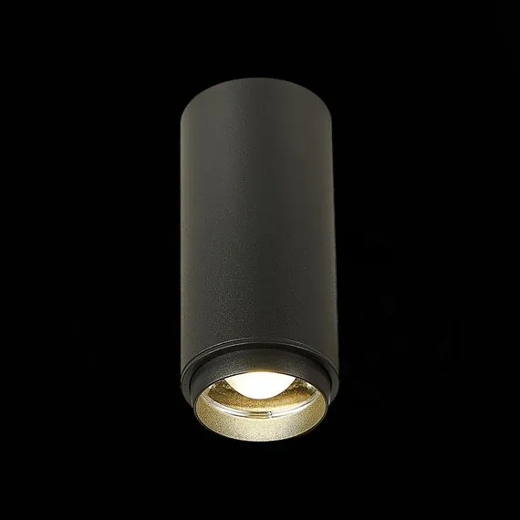 ST LUCE ST600.442.10 Светильник потолочный Zoom Черный LED 1*10W 4000K 1 000Lm Ra>80 15-60° IP20 D59xH130 17, изображение 3