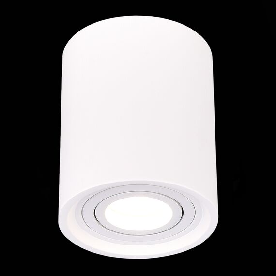 ST LUCE ST156.502.01 Светильник потолочный Белый GU10 1*50W IP20 D100xH120 180-240V Без ламп, изображение 4