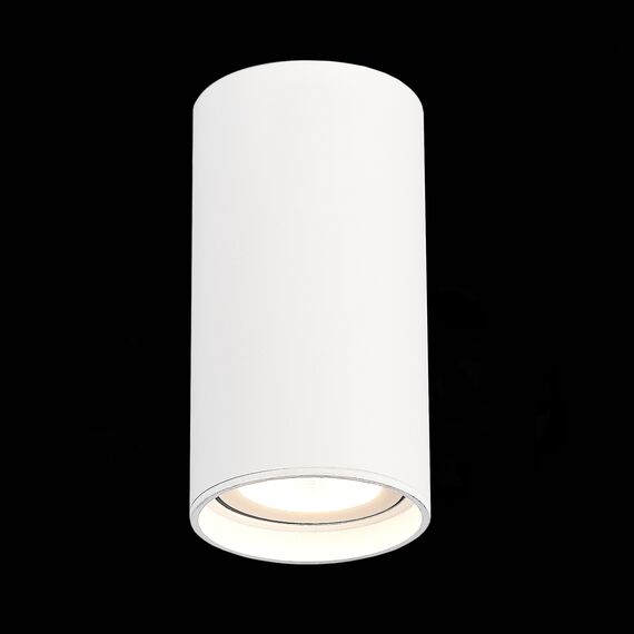 ST LUCE ST157.532.15 Светильник потолочный Белый LED 1*15W 3000K 1 200Lm Ra>90 60° IP44 D75xH140 220-265V, изображение 2