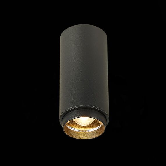 ST LUCE ST600.432.10 Светильник потолочный Zoom Черный LED 1*10W 3000K 1 000Lm Ra>80 15-60° IP20 D59xH130 17, изображение 2