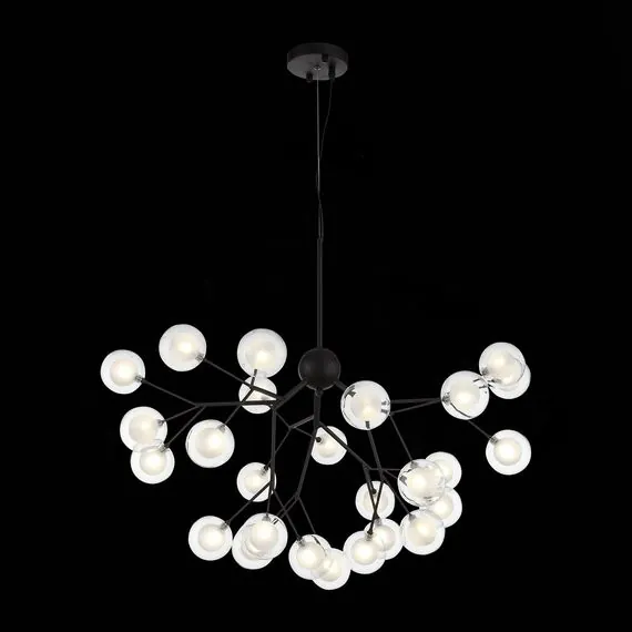 ST LUCE SL376.403.27 Светильник подвесной ST-Luce Черный/Прозрачный, Белый G4 LED 27*2W, изображение 3