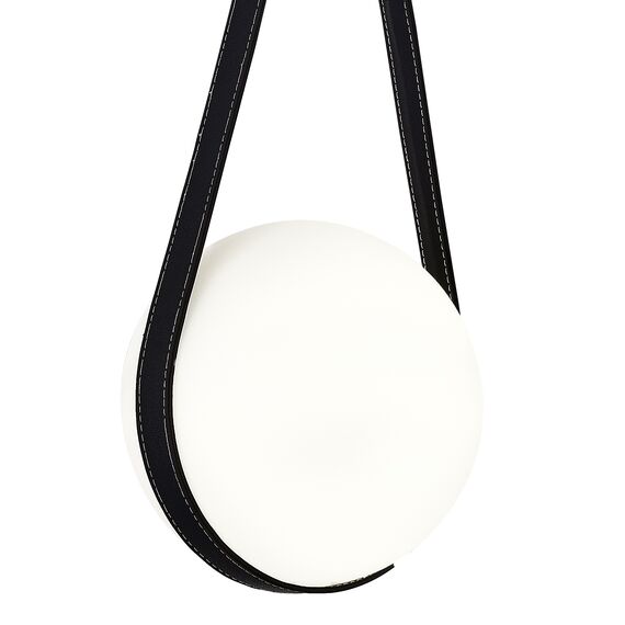 ST LUCE SL2002.413.01 Светильник подвесной ST-Luce Черный/Белый E27 1*60W, изображение 3