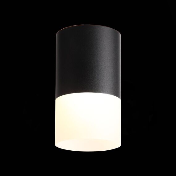 ST LUCE ST100.402.10 Светильник потолочный Черный LED 1*10W 3000K 780Lm Ra>80 120° D78xH135 170-240VV, изображение 2