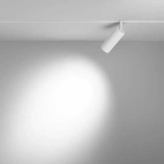 Maytoni Technical TR032-2-12W3K-S-W Трековый магнитный светодиодный светильник Exility, изображение 5