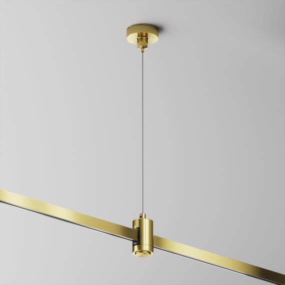 Maytoni Technical TRA157SW-S1-BS Подвес тросовый одинарный Flarity, изображение 2