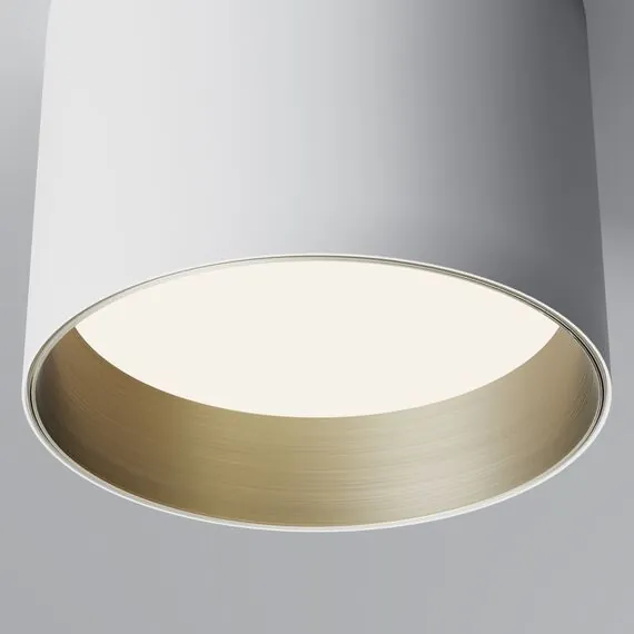 Maytoni Technical C096L-GX53-WBS Потолочный светильник Glam, изображение 2