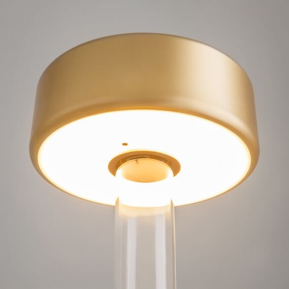 Maytoni Decorative MOD229TL-L3G3K1 Настольная лампа светодиодная диммируемая AI Collaboration, изображение 4