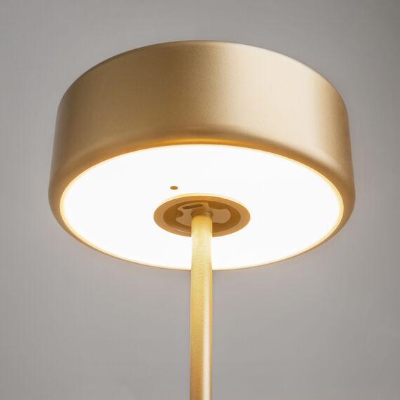 Maytoni Decorative MOD229TL-L3G3K2 Настольная лампа светодиодная диммируемая AI Collaboration, изображение 4