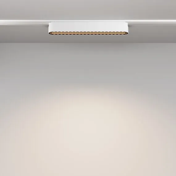 Maytoni Technical TR084-1-12W4K-W Трековый магнитный светодиодный светильник Radity Basis Grid, изображение 4