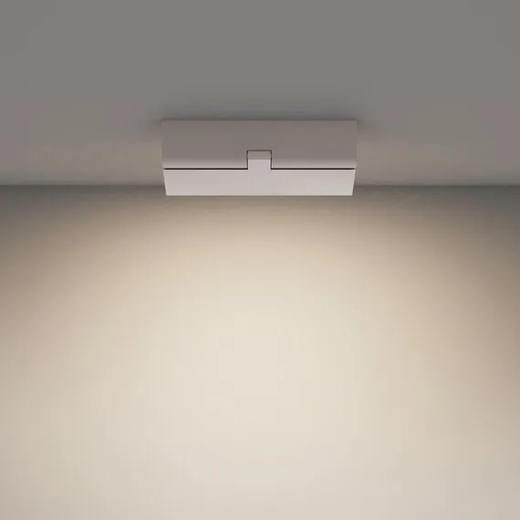 Maytoni Technical C133CL-12W4K-W Потолочный светильник Basis Rot, изображение 4