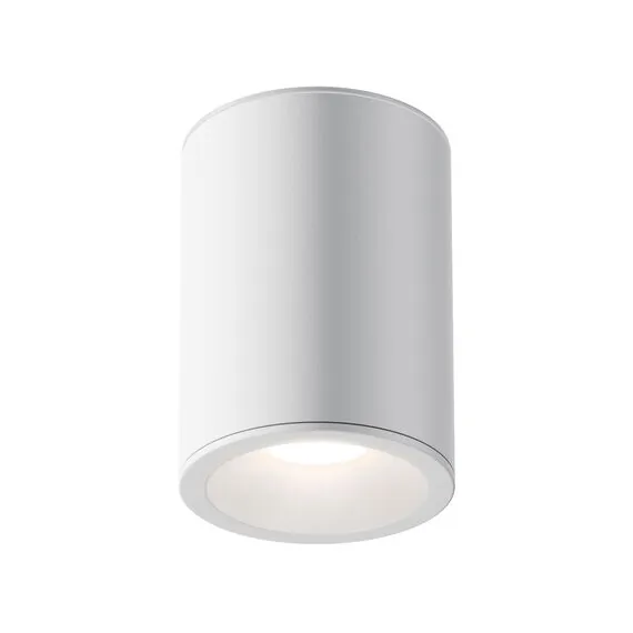 Maytoni Technical C029CL-01W Потолочный светильник Alfa