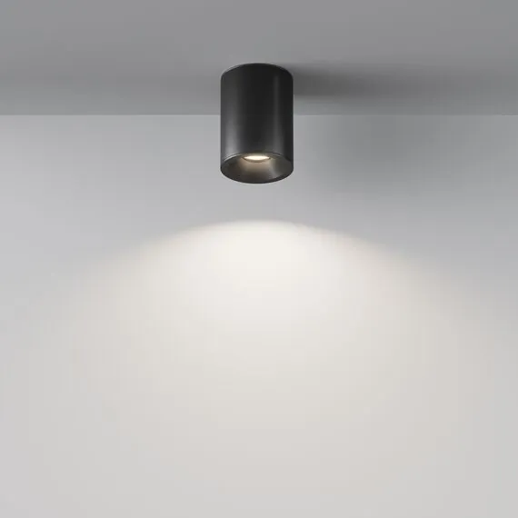 Maytoni Technical C029CL-01B Потолочный светильник Alfa, изображение 4