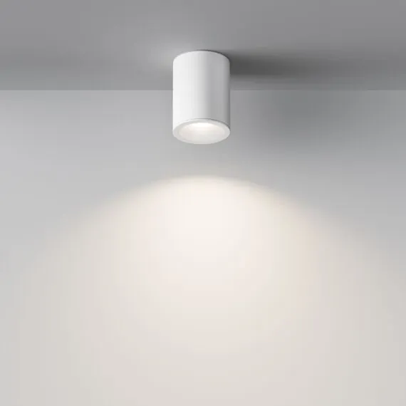 Maytoni Technical C029CL-01W Потолочный светильник Alfa, изображение 4