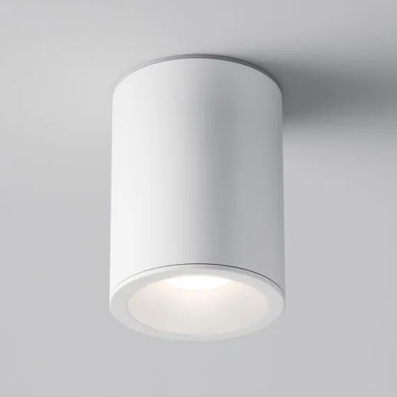 Maytoni Technical C029CL-01W Потолочный светильник Alfa, изображение 3