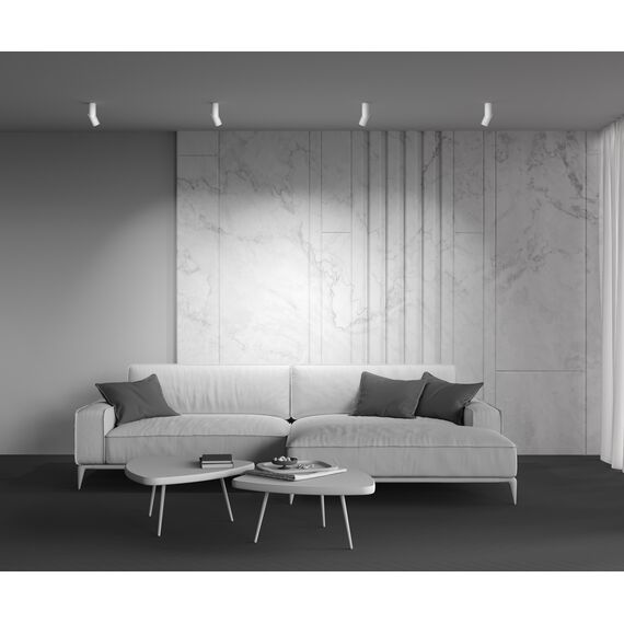 Maytoni Technical C027CL-L10W Спот Dafne, изображение 7
