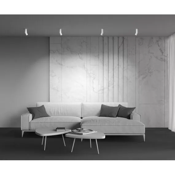 Maytoni Technical C027CL-L10W4K Спот светодиодный Dafne, изображение 7