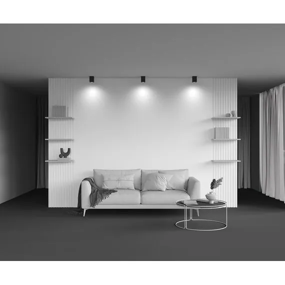 Maytoni Technical C017CL-01B Потолочный светильник Alfa, изображение 7