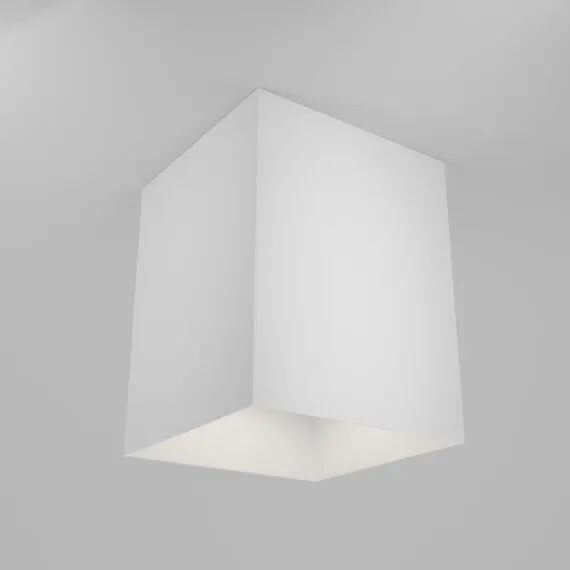 Maytoni Technical C015CL-01W Потолочный светильник Alfa