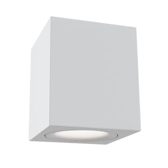 Maytoni Technical C013CL-01W Потолочный светильник Alfa