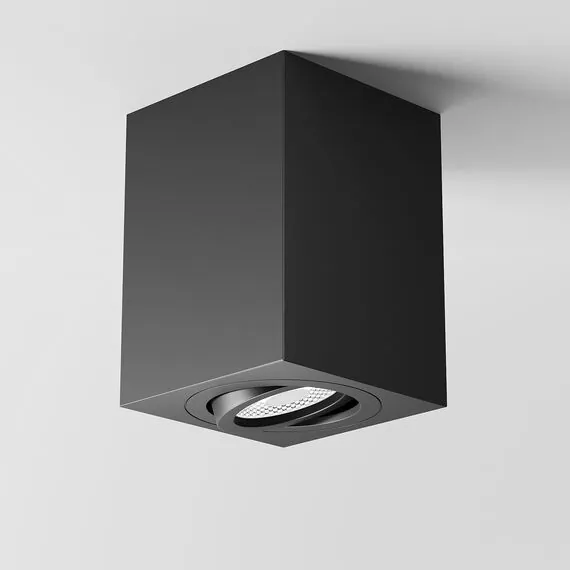Maytoni Technical C017CL-01B Потолочный светильник Alfa, изображение 5