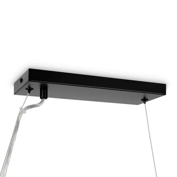 Maytoni Decorative MOD547PL-25B Люстра подвесная Dallas, изображение 5