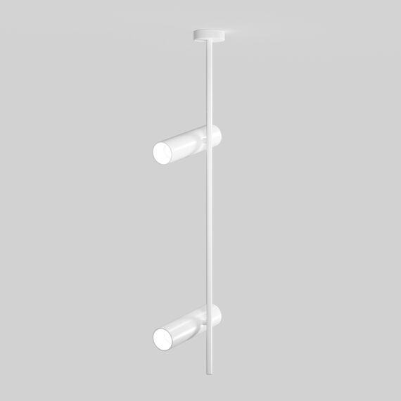 Maytoni Technical C021CL-02W Спот Elti, изображение 3