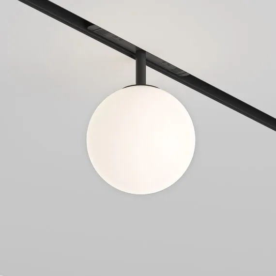 Maytoni Technical TR038-4-5WTW-DD-B Трековый светодиодный диммируемый светильник Exility Luna Dim Dali, изображение 3