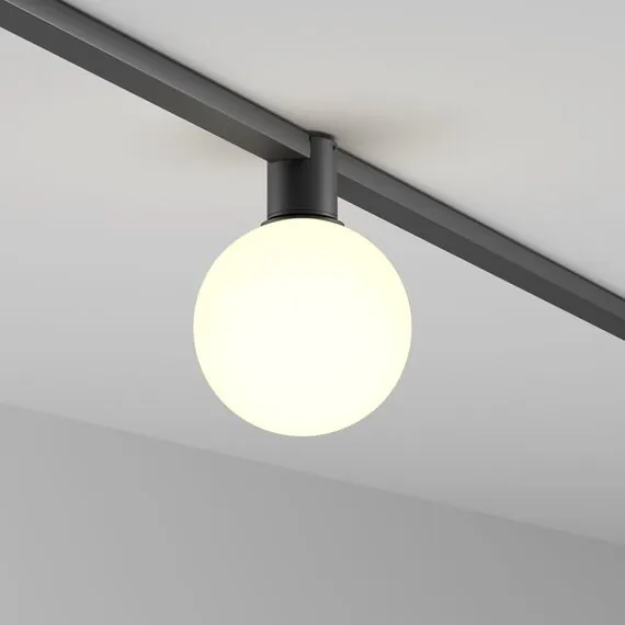 Maytoni Technical TR171-1-5W3K-WB Трековый однофазный светодиодный светильник Elasity Luna, изображение 2