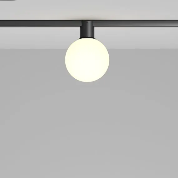 Maytoni Technical TR171-1-5W3K-WB Трековый однофазный светодиодный светильник Elasity Luna, изображение 3