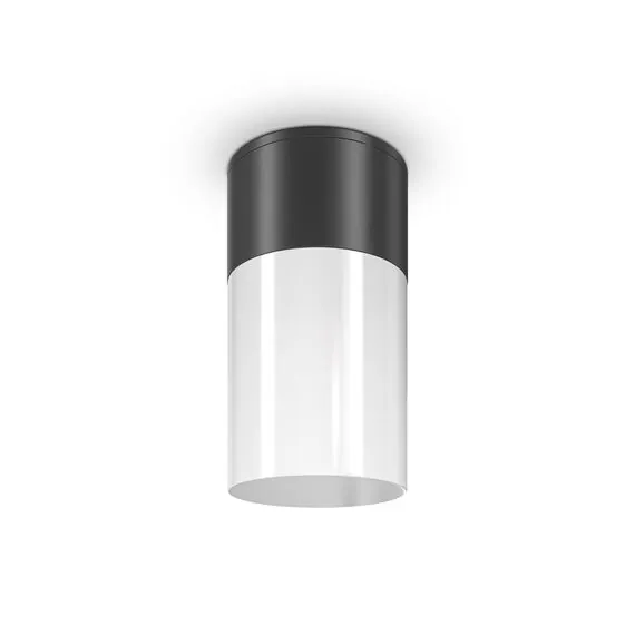Maytoni Outdoor O418CL-01B Уличный потолочный светильник Willis, изображение 2