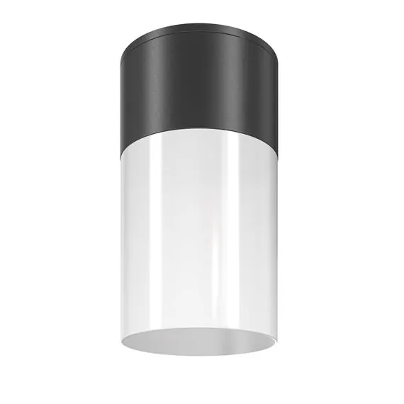 Maytoni Outdoor O418CL-01B Уличный потолочный светильник Willis