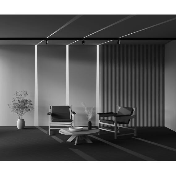 Maytoni Technical TR090-2-6W4K-B Трековый светильник Exility Outline, изображение 6