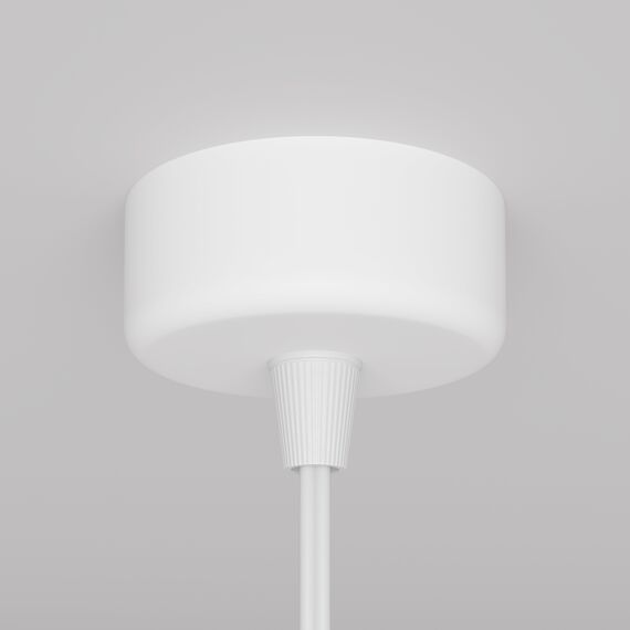 Maytoni Technical P038PL-01W Подвесной светильник Focus Design, изображение 5