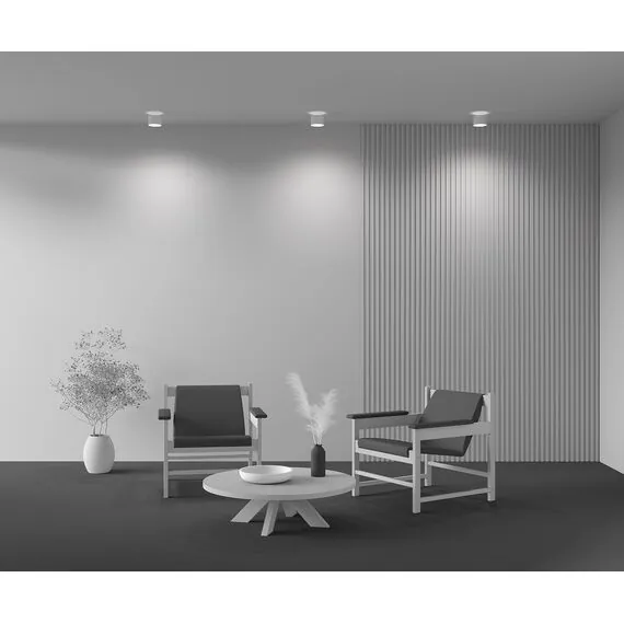 Maytoni Technical C009CW-L12W4K Светильник точечный светодиодный потолочный Planet, изображение 6