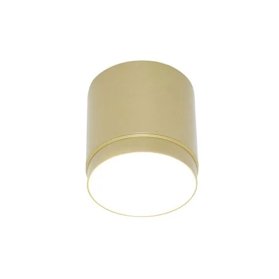 Maytoni Technical C088CL-GX53-MG Светильник потолочный Polar
