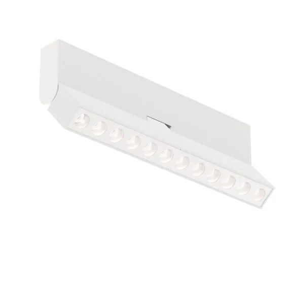 Maytoni Technical C136CL-12W4K-W Потолочный светильник Points rot