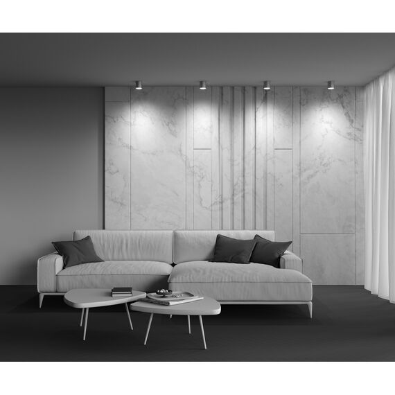Maytoni Technical C088CL-GX53-S Светильник потолочный Polar, изображение 7