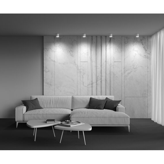 Maytoni Technical C088CL-GX53-W Светильник потолочный Polar, изображение 7