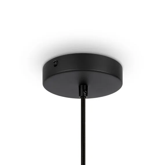 Maytoni Decorative MOD191PL-01W Светильник подвесной Roots, изображение 4
