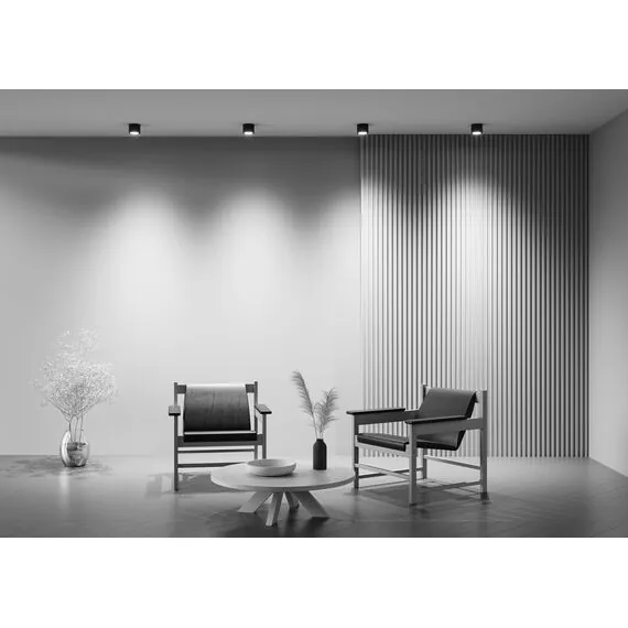 Maytoni Technical C095CL-GX53-B Светильник потолочный Rendo, изображение 6