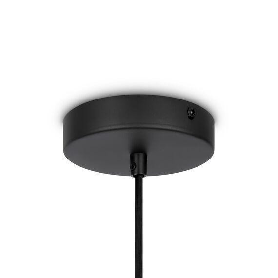 Maytoni Decorative MOD192PL-01W Светильник подвесной Roots, изображение 4