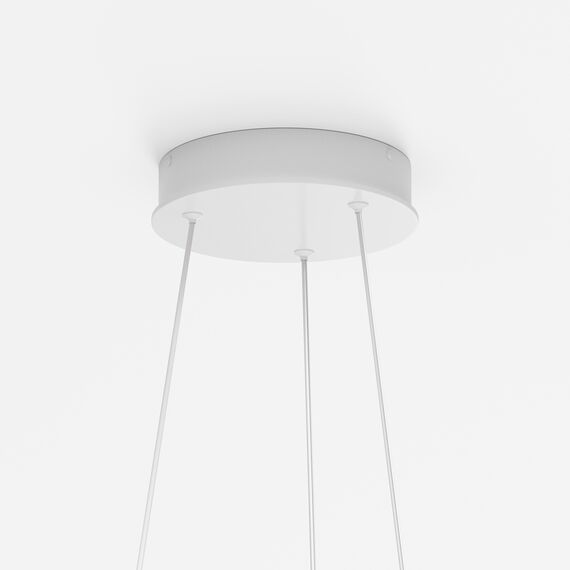 Maytoni Decorative MOD058PL-L22WK Люстра подвесная светодиодная Rim, изображение 5